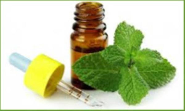 بسیاری از فواید روغن نعناع که بسیاری از آن آگاه نیستند بسیاری از فواید روغن نعناع که بسیاری از آن مطلع نیستند