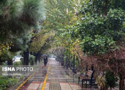 بارش باران در 14 استان، نفوذ توده هوای سرد به کشور