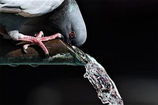 عکس های منتخب جهان در هفته گذشته؛ از تاریخ سازی زنان فوتبالیست عکس های منتخب جهان در هفته گذشته؛ از تاریخ سازی زنان فوتبالیست تا موج گرمای بی سابقه